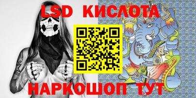кокс Можга