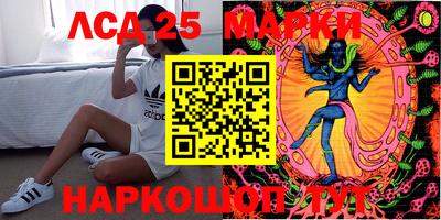 кокс Можга