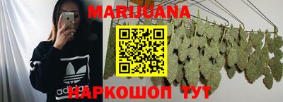 кокс Можга