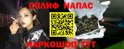 кокс Можга