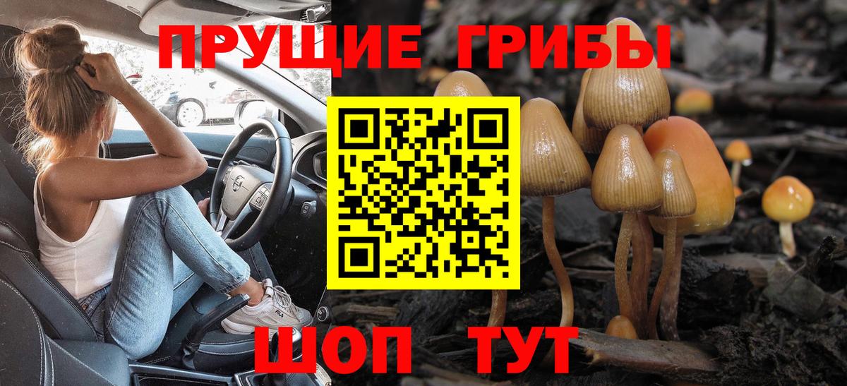 Галлюциногенные грибы Magic Shrooms Сосновый Бор
