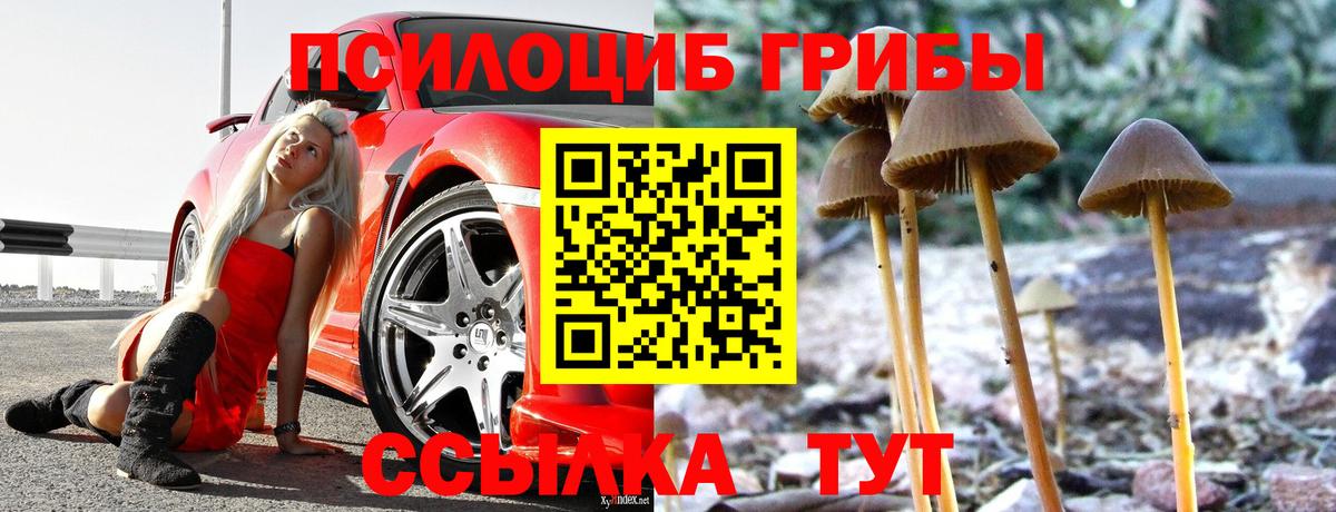 Псилоцибиновые грибы GOLDEN TEACHER  Галлюциногенные грибы мицелий  Вход с VPN  Сосновый Бор 