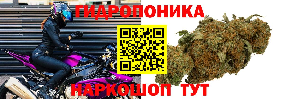 Бошки Шишки индика  Каннабис марихуана  Шишки марихуана White Widow  Сосновый Бор  Канабис THC 21%  Вход с VPN 